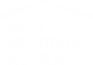 DSA Logo